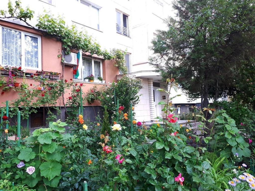 2 Bedrooms With Private Bath And Balcony Near The Airport 소피아 외부 사진